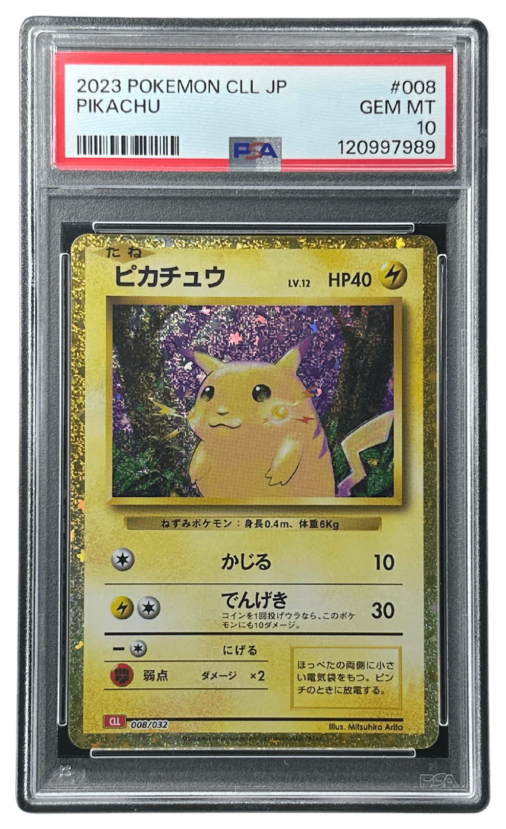 ピカチュウ | TCG STORE