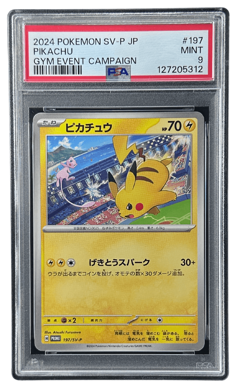 ピカチュウ | TCG STORE