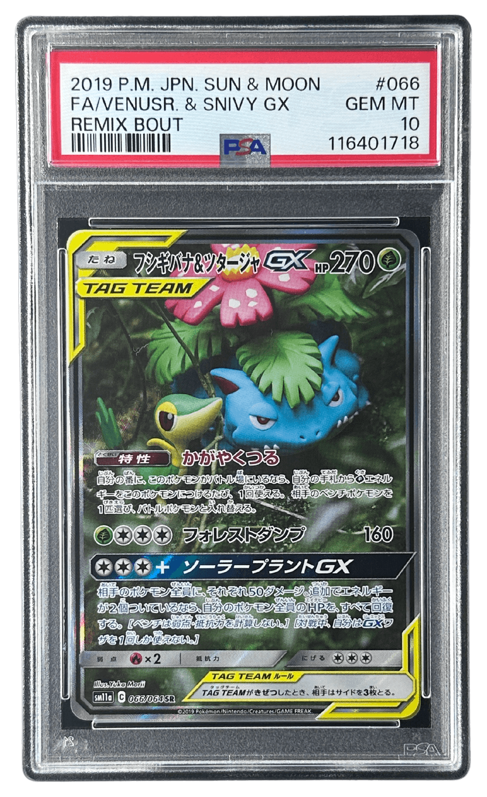 フシギバナ＆ツタージャGX | TCG STORE