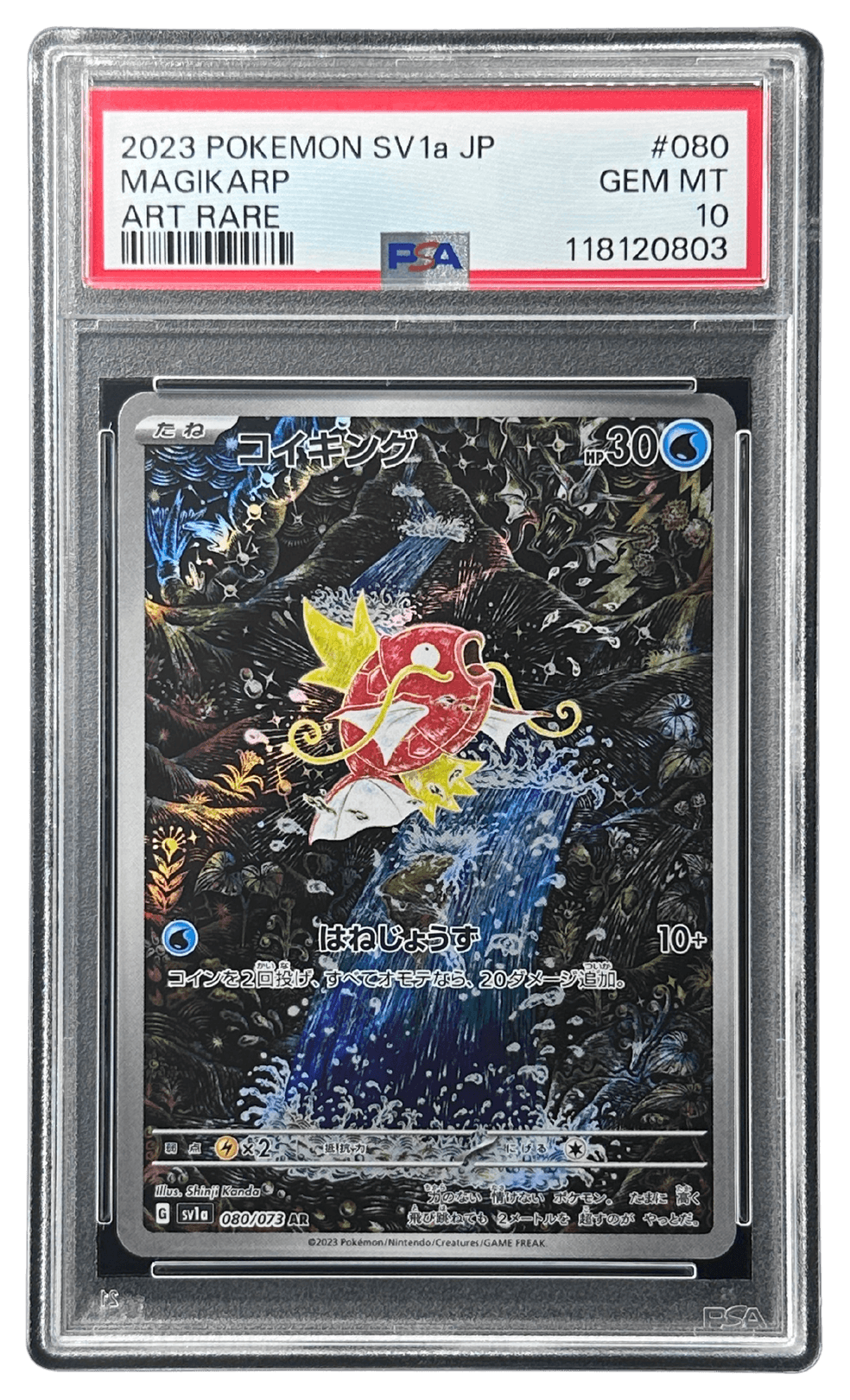 コイキング　10枚 コイキング | TCG STORE